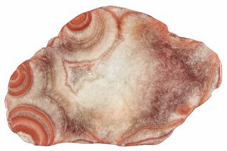 Polished Potato Agate Slice - England #283074