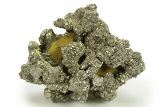 Golden Pyrite on Limonite Clay - Pakistan #283717