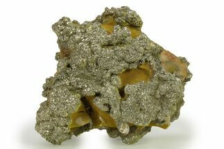 Golden Pyrite on Limonite Clay - Pakistan #283726