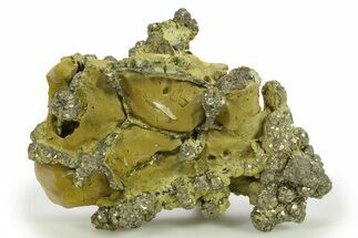 Golden Pyrite on Limonite Clay - Pakistan #283730