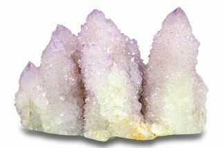 Cactus Quartz (Amethyst) Crystal Cluster - South Africa #283979