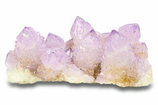 Spectacular Cactus Amethyst Crystal Cluster - South Africa #284006