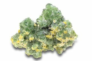 Deep Green Fluorite Cluster with Muscovite - Namibia #284014