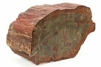 Polished Petrified Wood (Araucarioxylon) - Arizona #284331