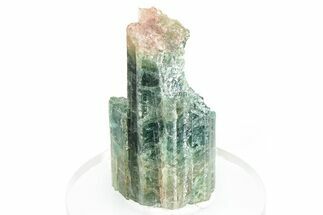 Colorful Tourmaline (Elbaite) Crystal - Leduc Mine, Quebec #284339