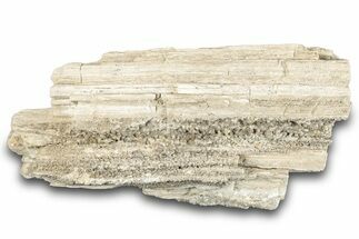 Cretaceous Petrified Wood Covered In Druzy Quartz - Texas #284352