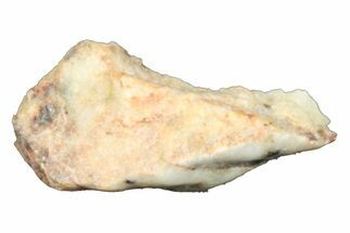Aubrite Meteorite Fragment - Djoua #283634