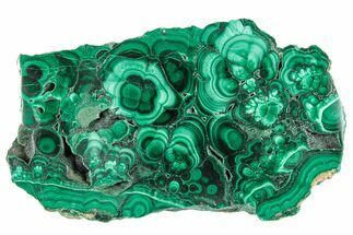 Flowery Polished Malachite Slab - DR Congo #284400