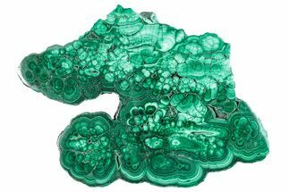 Flowery Polished Malachite Slab - DR Congo #284401