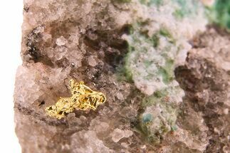 Native Gold in Shattuckite - Namibia #284488