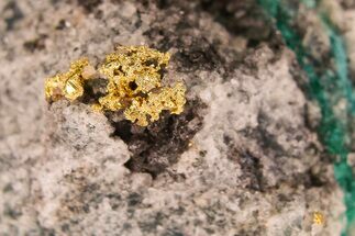Native Gold in Shattuckite - Namibia #284495