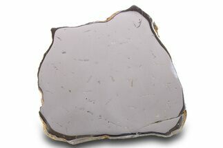 Gebel Kamil Iron Meteorite Slice ( g) - Egypt #284528