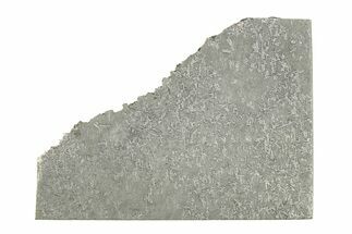 Balambala Iron Meteorite Slice ( g) - Rare IIF Iron #284604