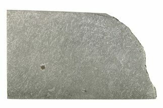 Balambala Iron Meteorite Slice ( g) - Rare IIF Iron #284617
