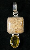 Fossil Coral Sunburst Pendant #16036