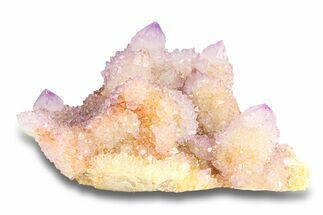 Sparkling Cactus Amethyst Crystal Cluster - South Africa #284703
