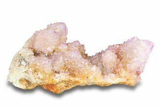 Sparkling Cactus Amethyst Crystal Cluster - South Africa #284705