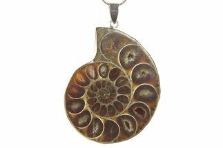 Fossil Ammonite Pendant - Million Years Old #284887