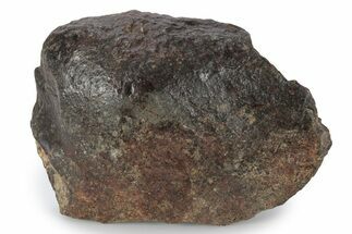 Chondrite Meteorite ( g) - Western Sahara Desert #285441