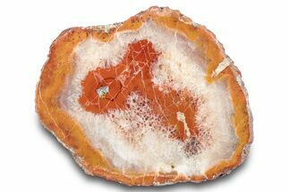 Colorful Sinbad Agate Nodule Half - Utah #285559