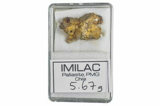 Pallasite Meteorite ( g) - Imilac #285893