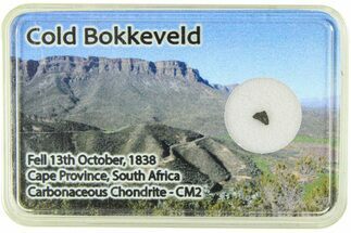 Carbonaceous Chondrite Fragment - Cold Bokkeveld #285957