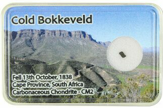 Carbonaceous Chondrite Fragment - Cold Bokkeveld #285960