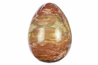 Colorful, Polished Petrified Wood Egg - Madagascar #286083