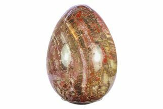 Colorful, Polished Petrified Wood Egg - Madagascar #286084