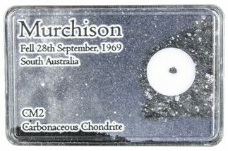 Murchison Chondrite Meteorite Fragment - Australia #286079