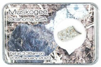 Chondrite Meteorite Hammer Stone ( g) - Muskogee #286107