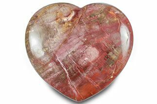 Polished Triassic Petrified Wood Heart - Madagascar #286173