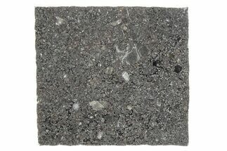 Polished Mesosiderite Meteorite Slice ( g) - NWA #286239