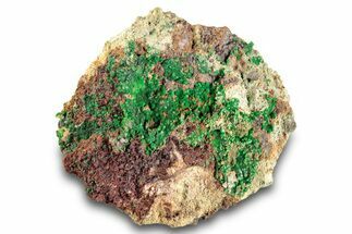 Striking Green Conichalcite Formation - Utah #284968