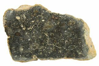 Polished Howardite Meteorite Section ( g) - Bechar #286919