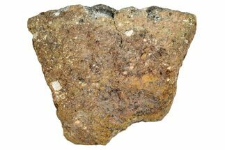 Howardite Meteorite ( g) - Bechar #286979