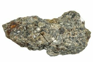 Howardite Meteorite ( g) - Bechar #287000