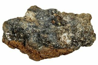 Howardite Meteorite ( g) - Bechar #287005