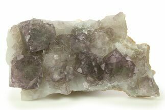 Purple Fluorite Crystals on Druzy Quartz - China #100731