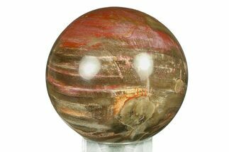 Colorful Petrified Wood (Araucaria) Sphere - Madagascar #286150