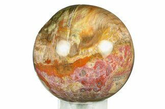 Colorful Petrified Wood (Araucaria) Sphere - Madagascar #286151