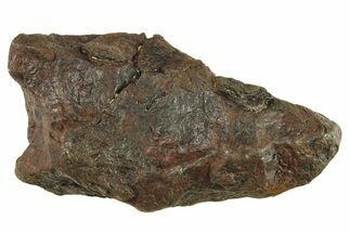 Canyon Diablo Iron Meteorite ( g) - Arizona #287624