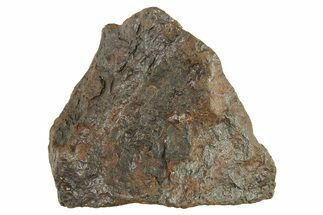 Canyon Diablo Iron Meteorite ( g) - Arizona #287629