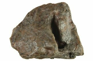 Canyon Diablo Iron Meteorite ( g) - Arizona #287633