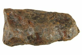 Canyon Diablo Iron Meteorite ( g) - Arizona #287648