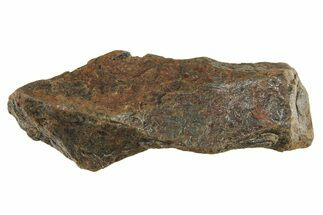 Canyon Diablo Iron Meteorite ( g) - Arizona #287663