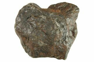 Canyon Diablo Iron Meteorite ( g) - Arizona #287708