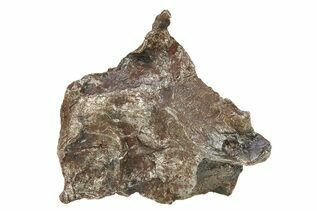 Sikhote-Alin Meteorites For Sale