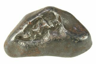 Fusion Crusted Sikhote-Alin Iron Meteorite ( g) - Russia #287854