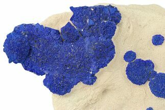 Vibrant Blue Azurite Suns on Siltstone - Australia #287971